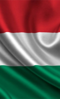 Hungarian government introduces €280m home improvement subsidy scheme