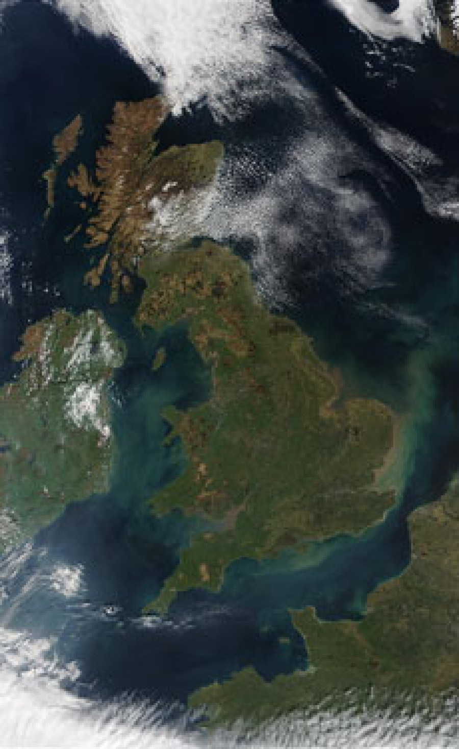Indinature’s hemp insulation approved for UK insulation schemes