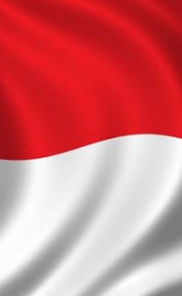 Indonesia launches safeguard investigation into mineral wools