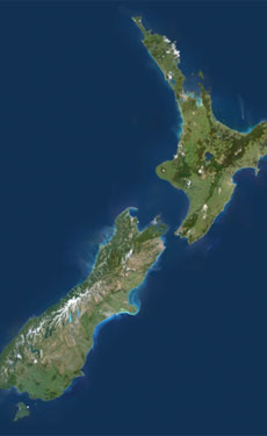 New Zealand government to reduce building materials import barriers